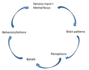 brain patterning cycle
